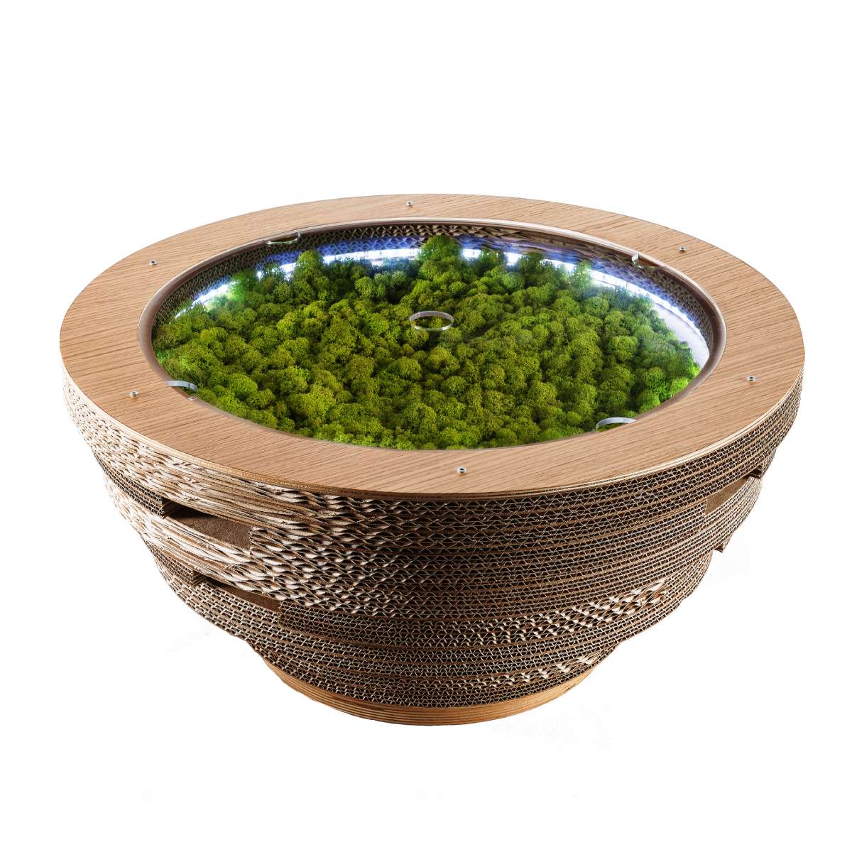 Luxury TAPPO CON LICHENI XL Wood Coffee Table Modern Italian Style for Villa