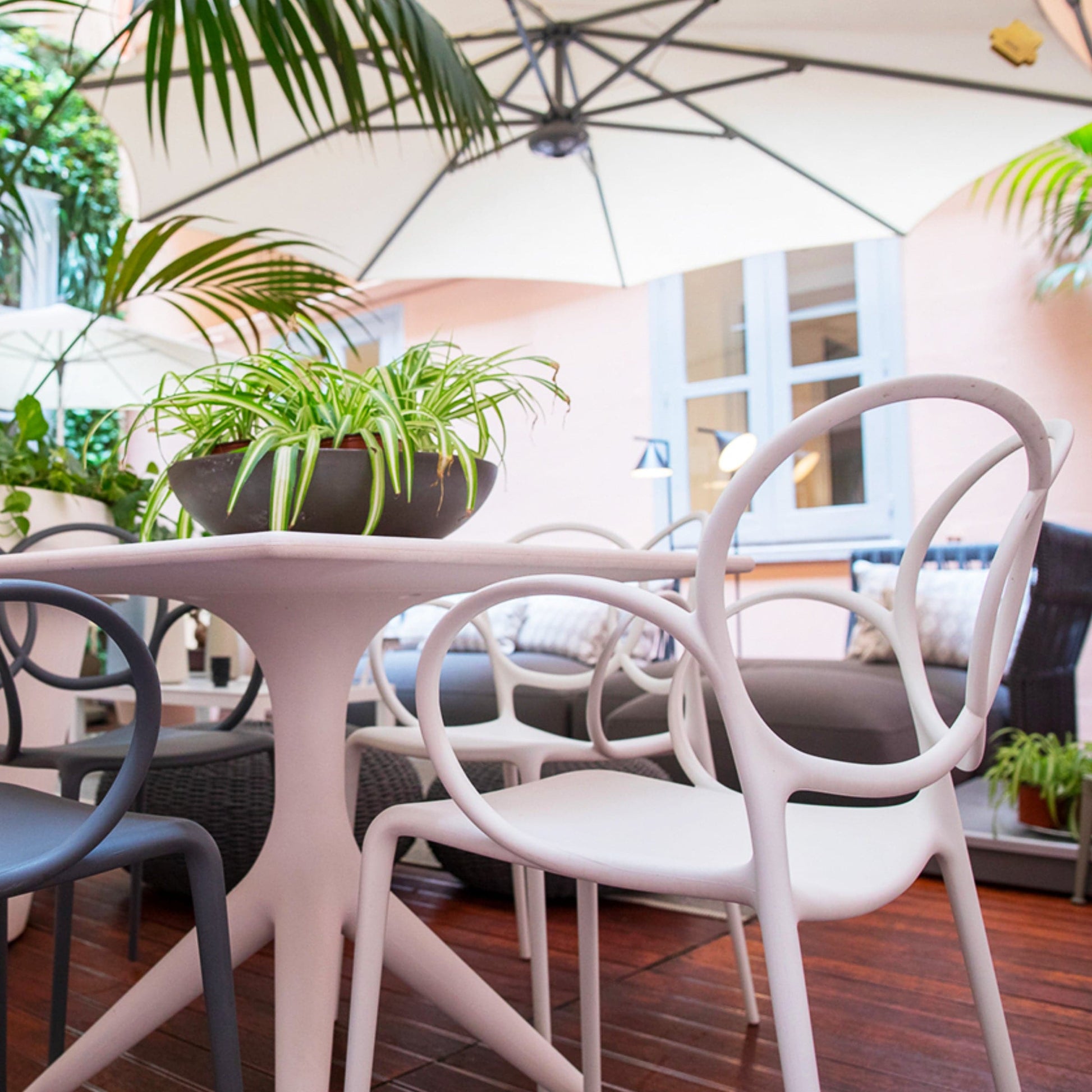 Sissi Dining Chair – Sculptural Loop Backrest Polypropylene Monobloc by Driade
