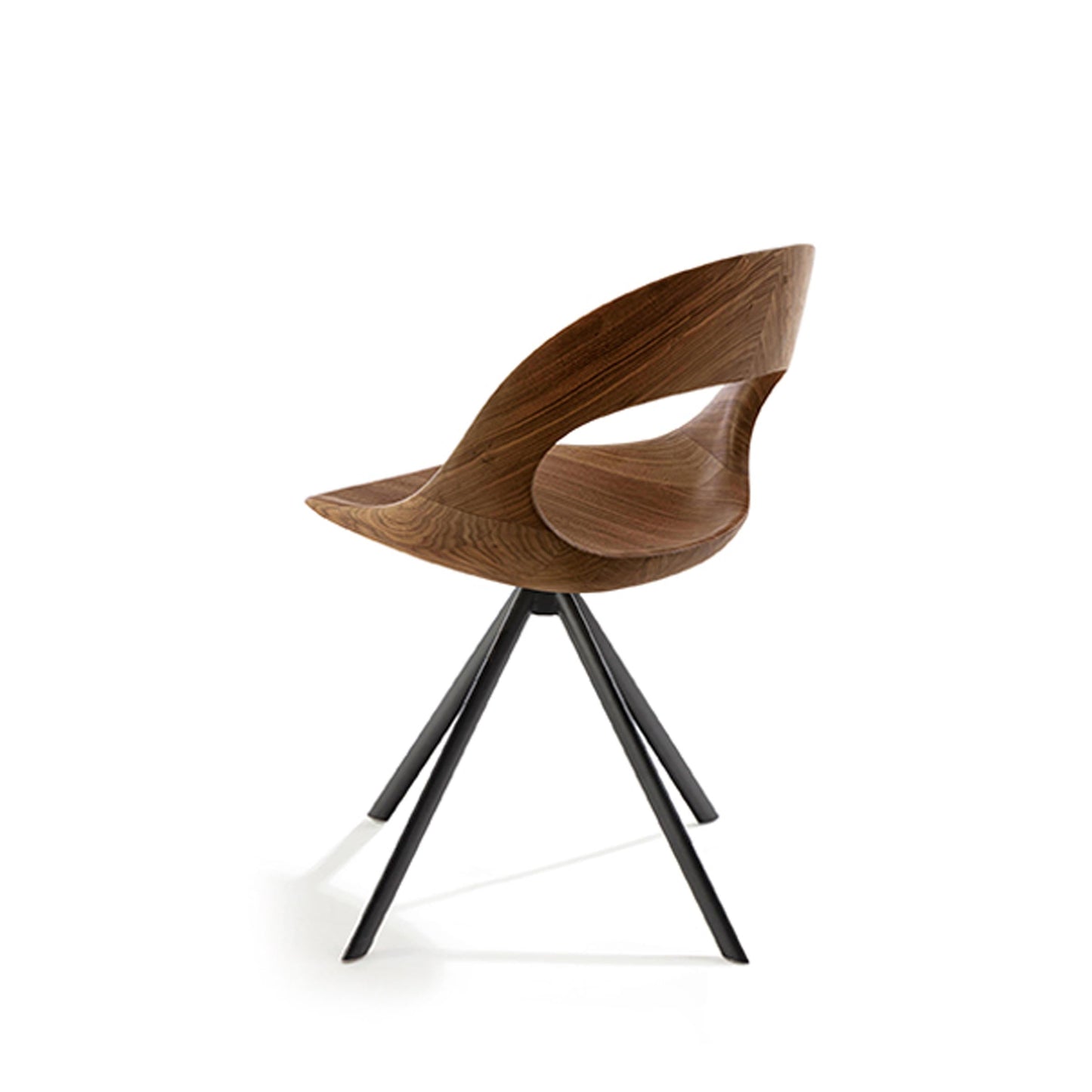 Naima Dining Chair – Sculptural Walnut – Solid Walnut & Irondust Iron by Riva 1920