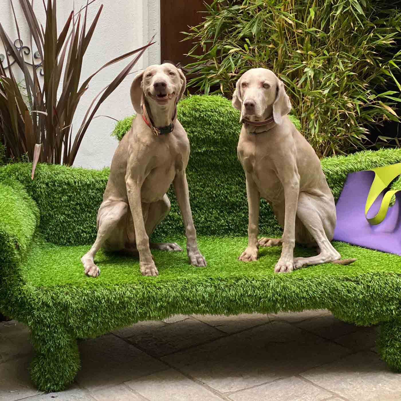 Luxury SOFAGREEN Three-Seater Sofa Modern Italian Style for Villa