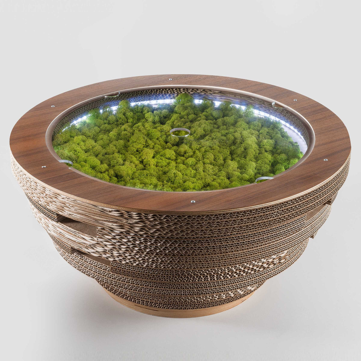 Luxury TAPPO CON LICHENI XL Wood Coffee Table Modern Italian Style for Villa