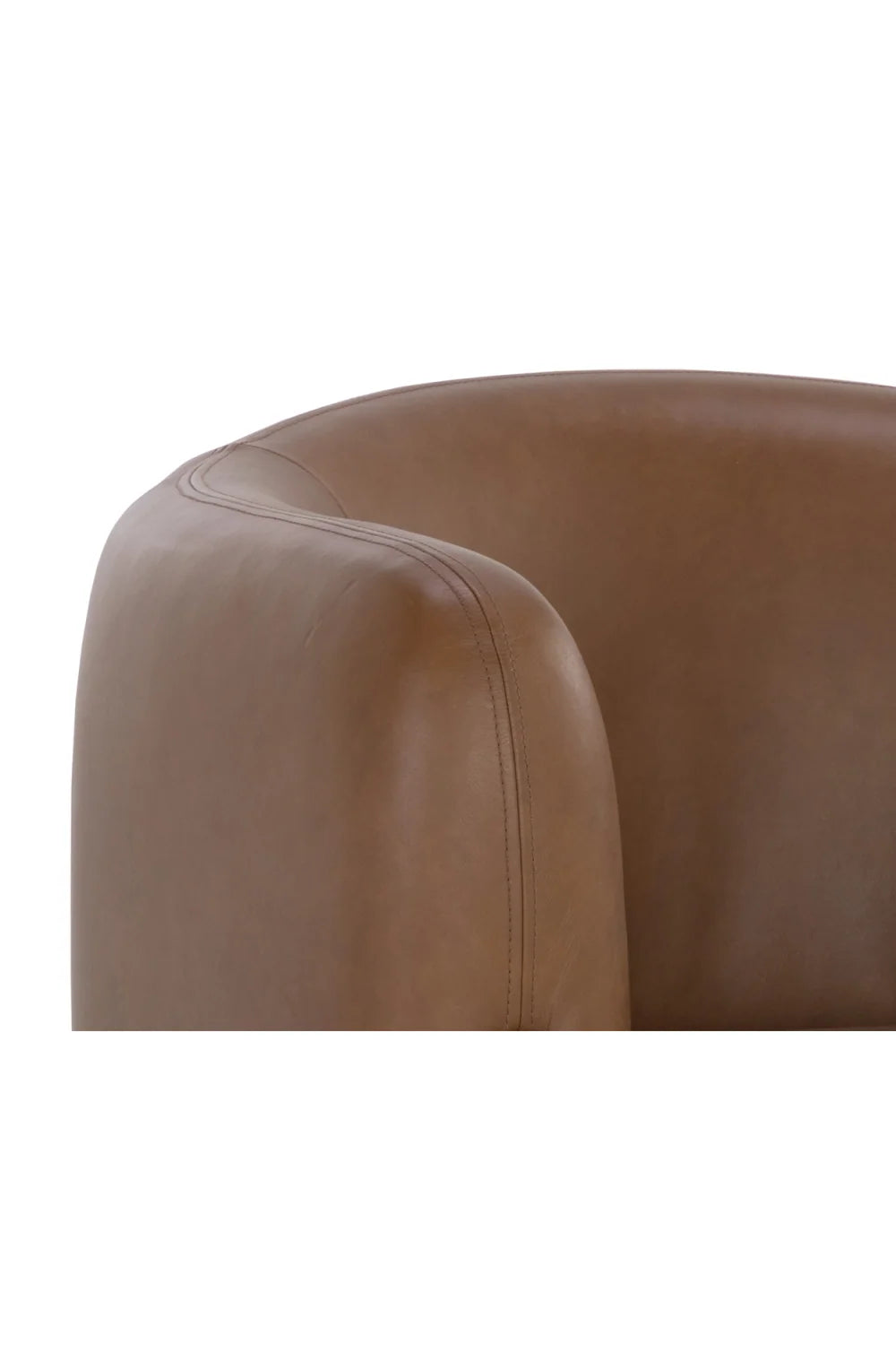 Luxury Brown Curved Leather Lounge Chair Modern Italian Style for Villa