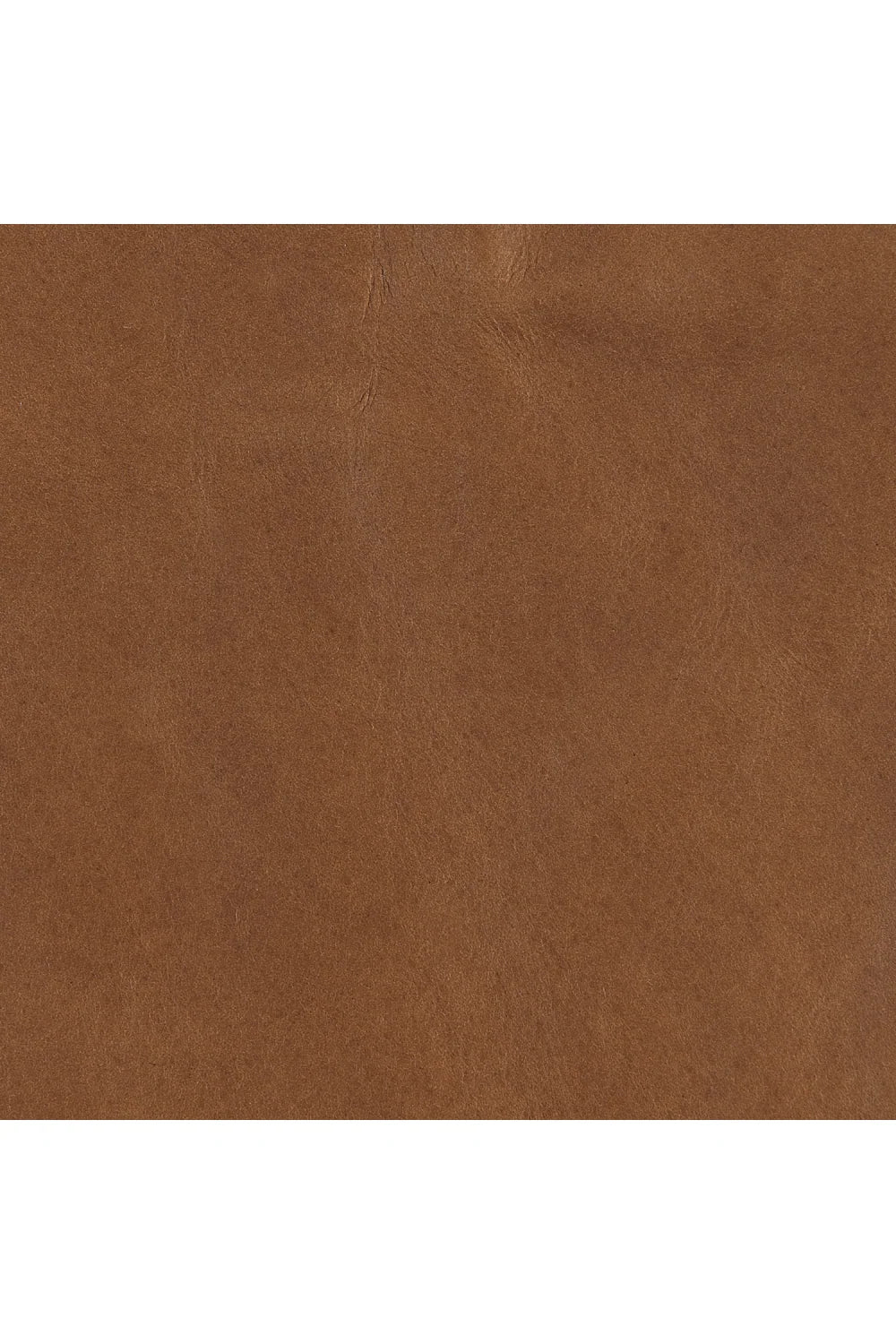 Luxury Brown Leather Lounge Chair Modern Italian Style for Villa