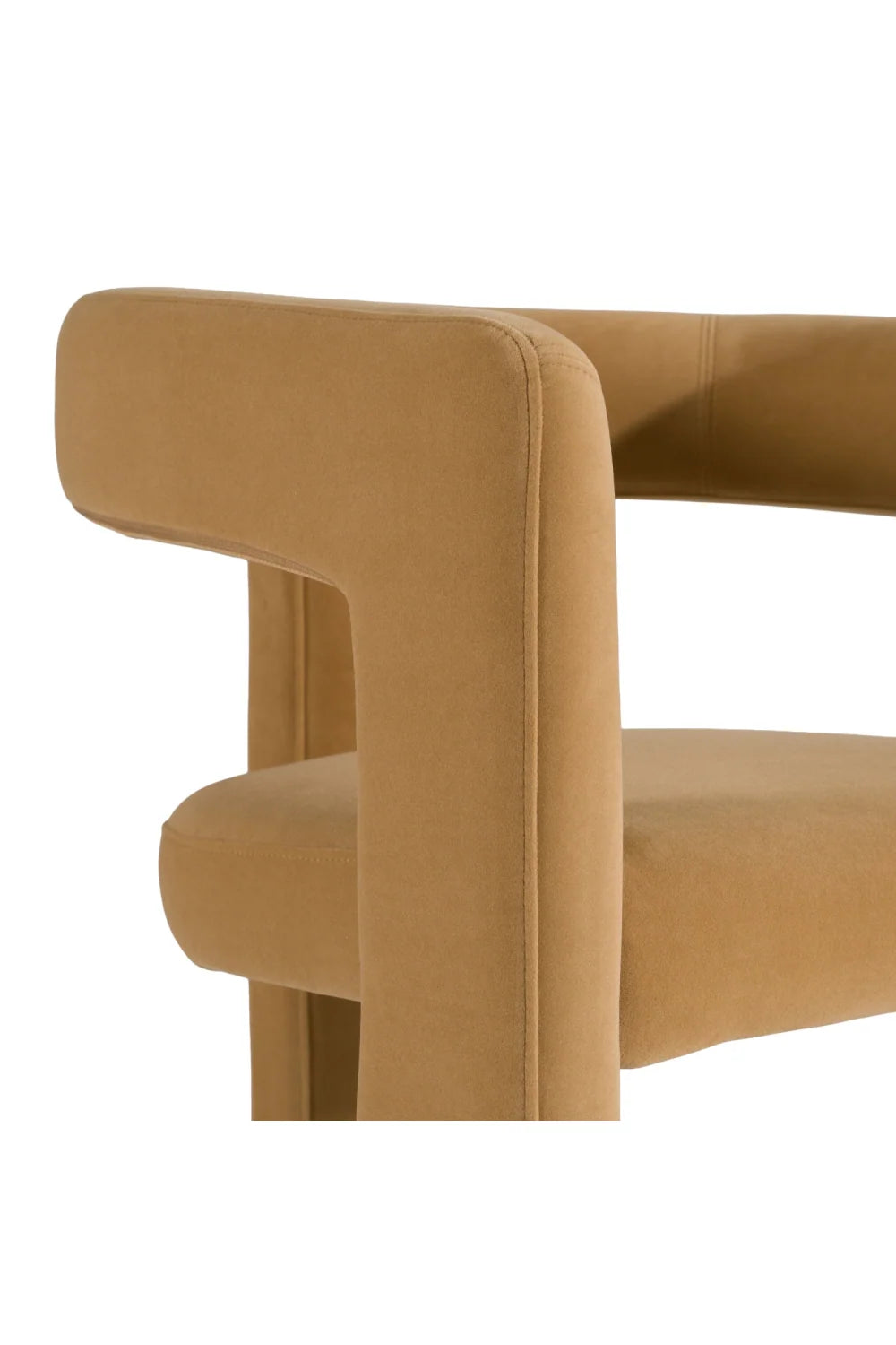 Luxury Curved Modern Dining Chair European Style for Villa