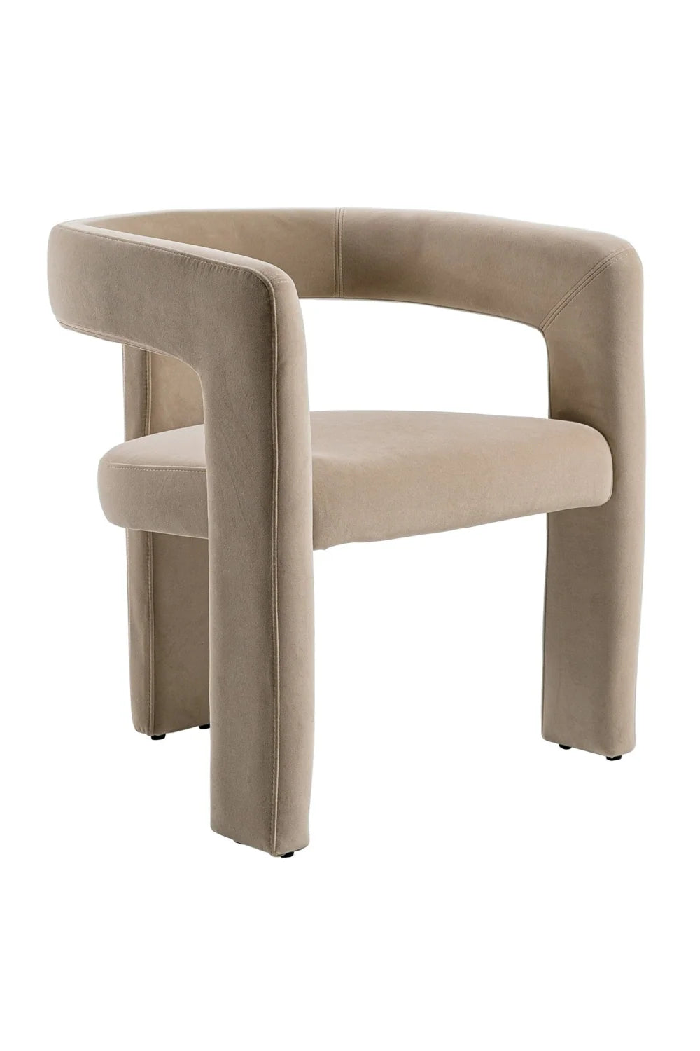Luxury Curved Modern Dining Chair European Style for Villa
