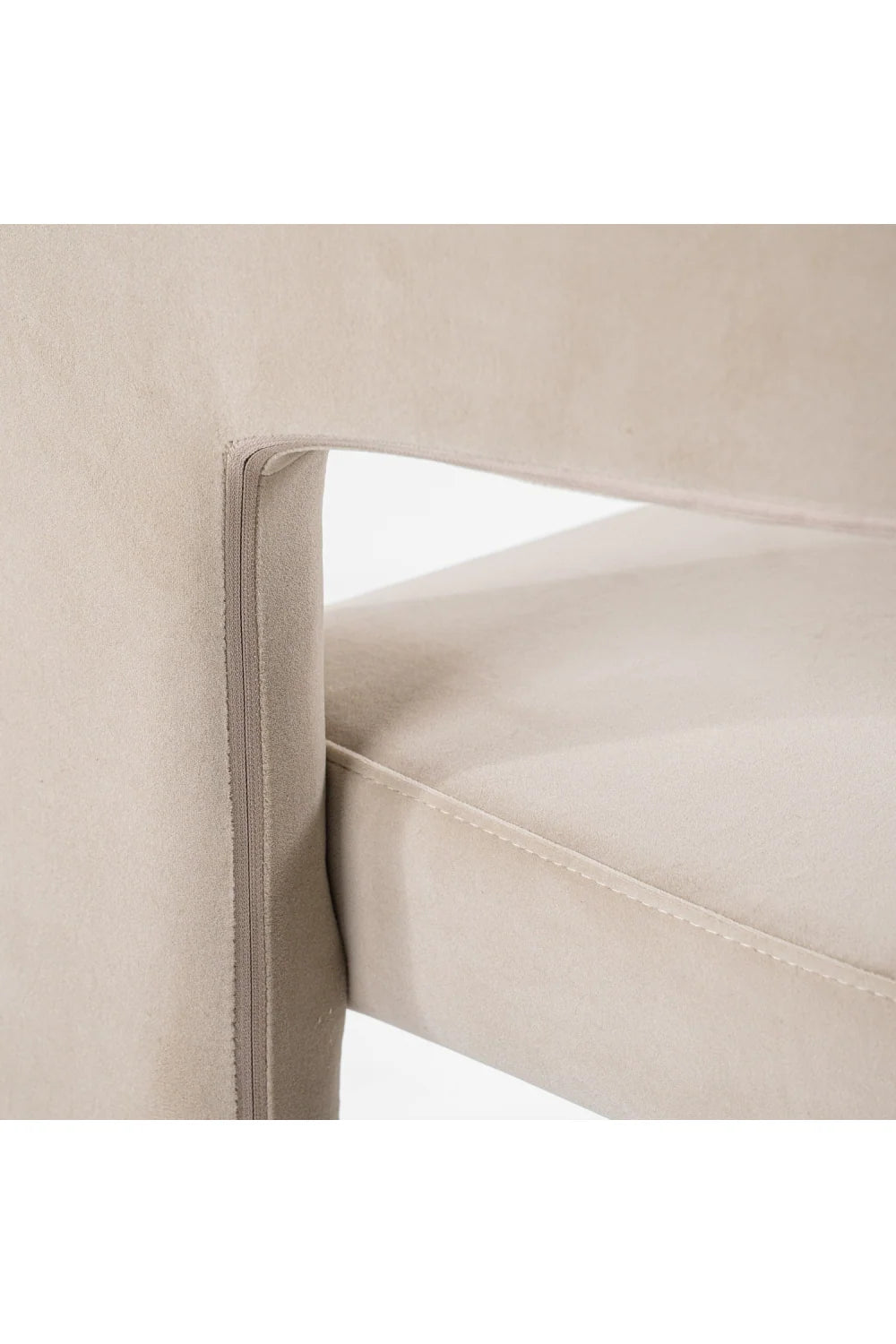 Luxury Curved Modern Dining Chair European Style for Villa