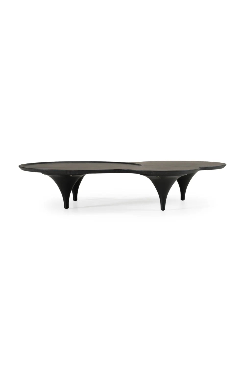 Luxury Free-Form Black Ash Coffee Table Modern Italian Style for Villa