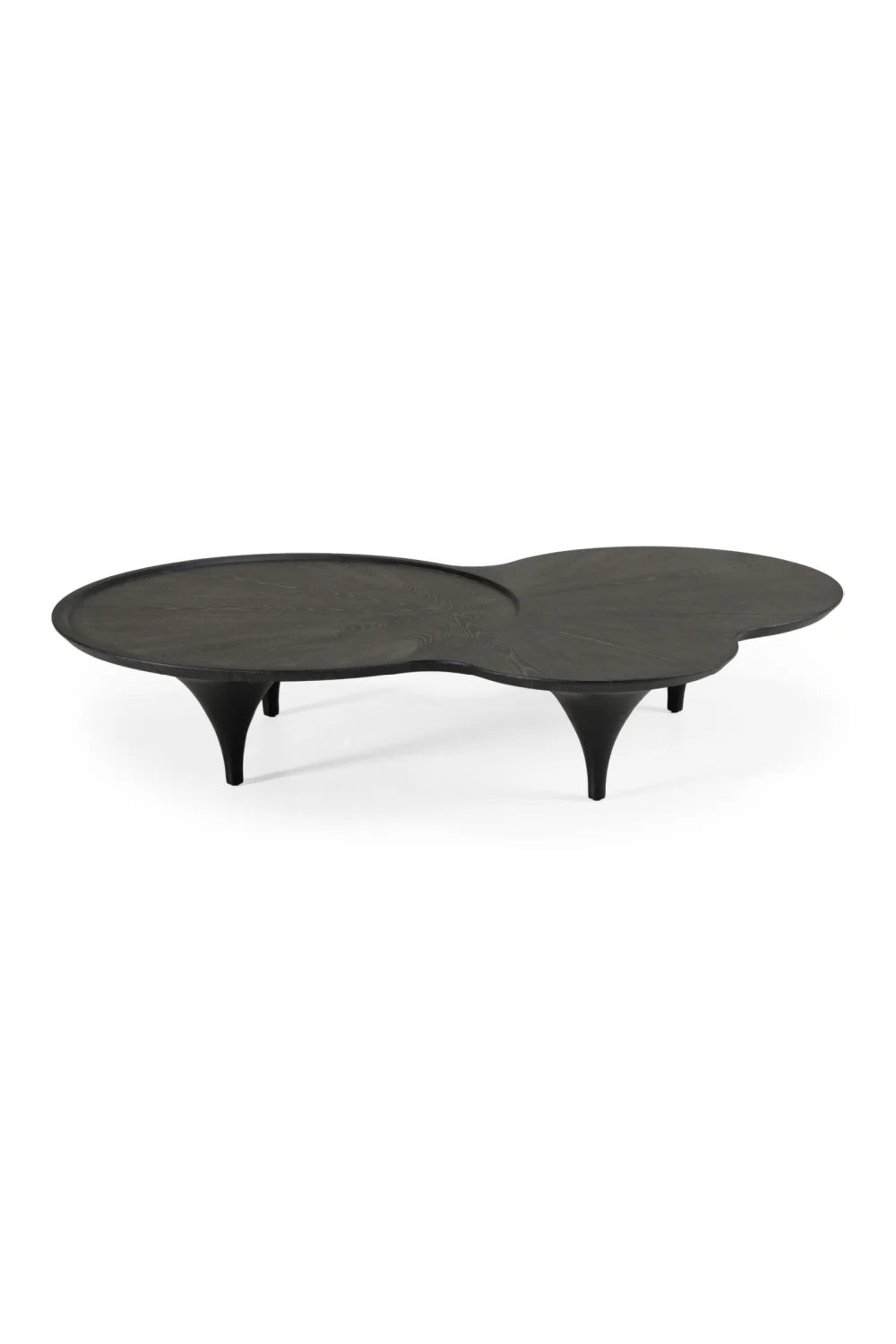 Luxury Free-Form Black Ash Coffee Table Modern Italian Style for Villa