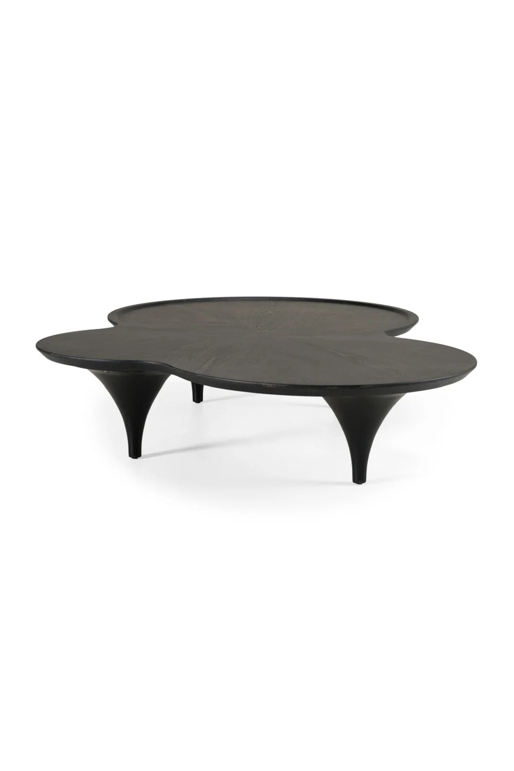 Luxury Free-Form Black Ash Coffee Table Modern Italian Style for Villa