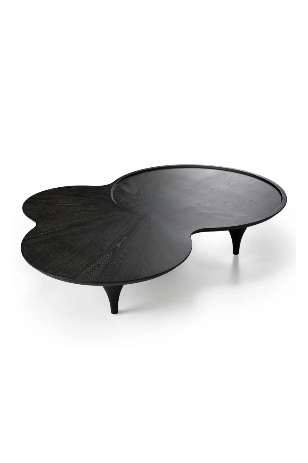 Luxury Free-Form Black Ash Coffee Table Modern Italian Style for Villa