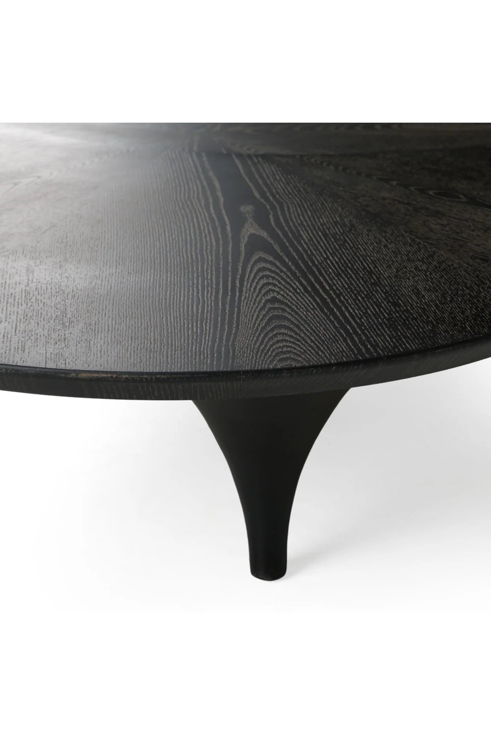 Luxury Free-Form Black Ash Coffee Table Modern Italian Style for Villa