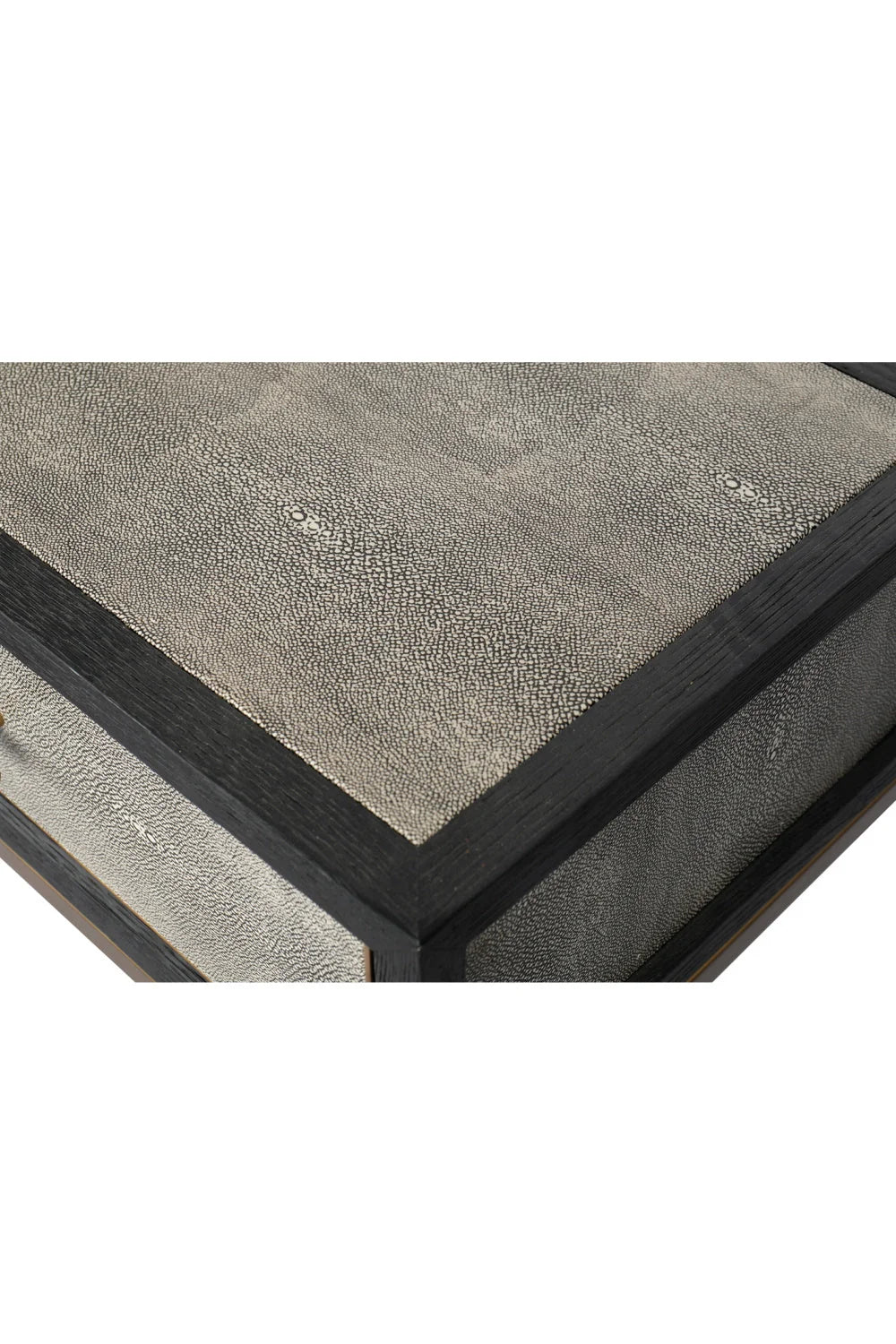 Luxury Gray Shagreen Console Table Modern Italian Style for Villa