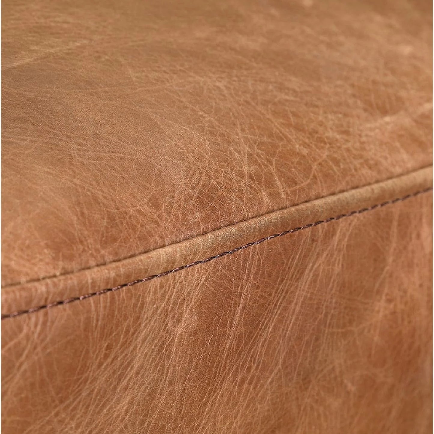 Luxury Leather Cantilevered Accent Chair European Style for Villa