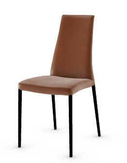 Luxury Modern Aida Dining Chair European Style for Villa