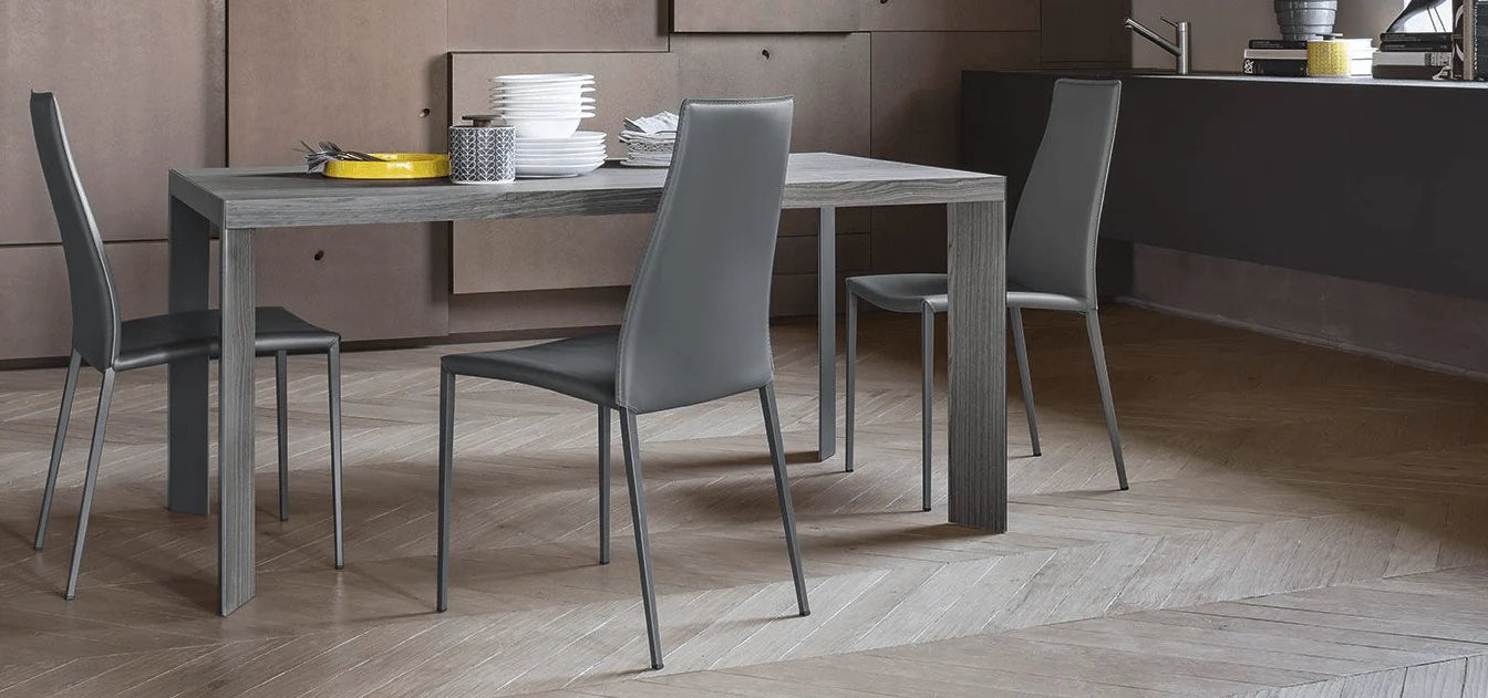 Luxury Modern Aida Dining Chair European Style for Villa