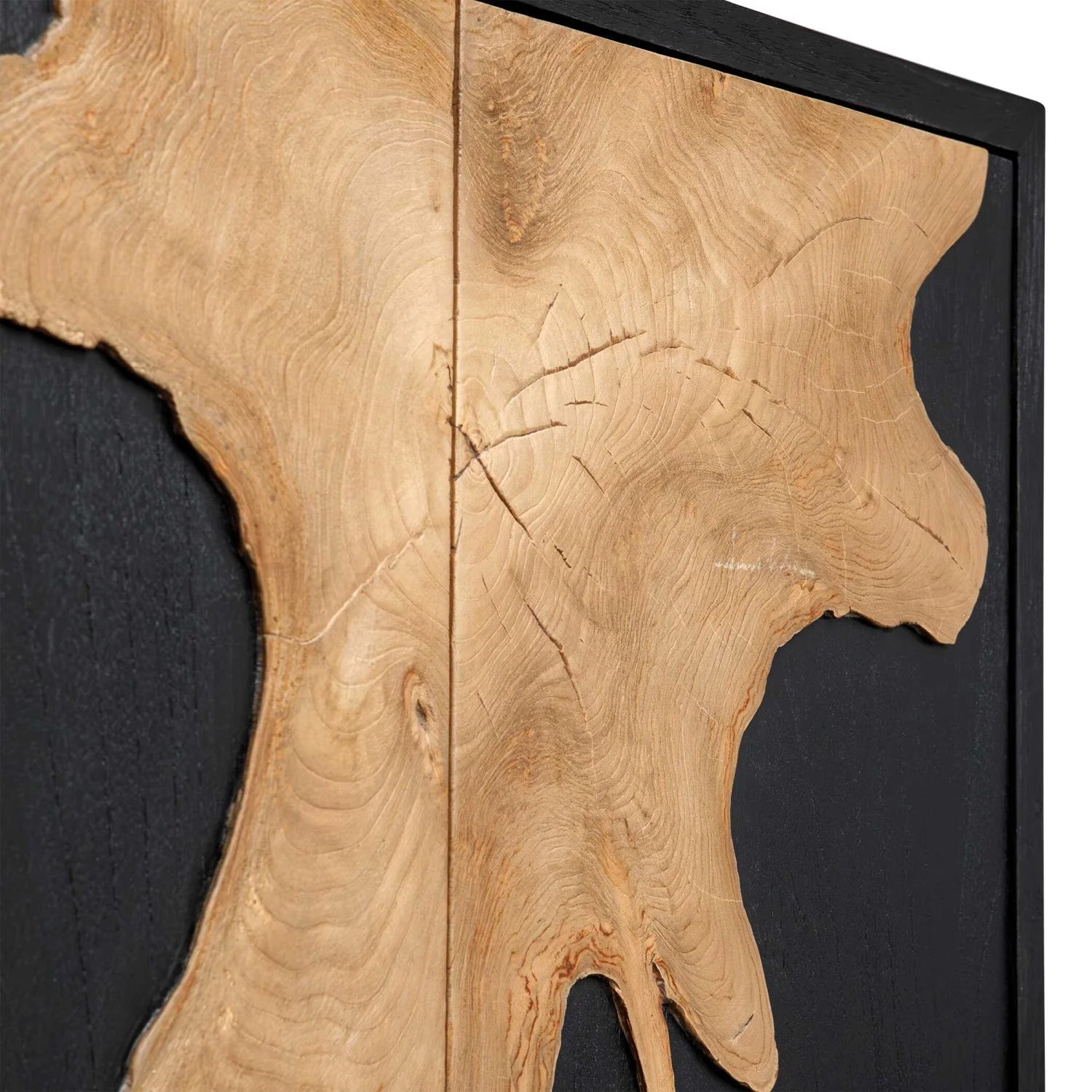 Luxury Modern Black Wooden 2-Door Cabinet European Style for Villa