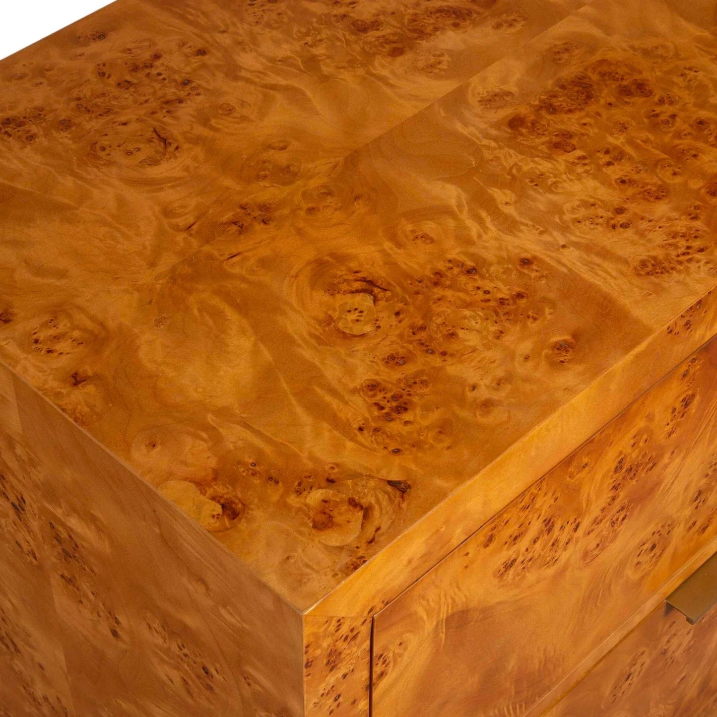 Luxury Modern Burl 2-Drawer Chest European Style for Villa