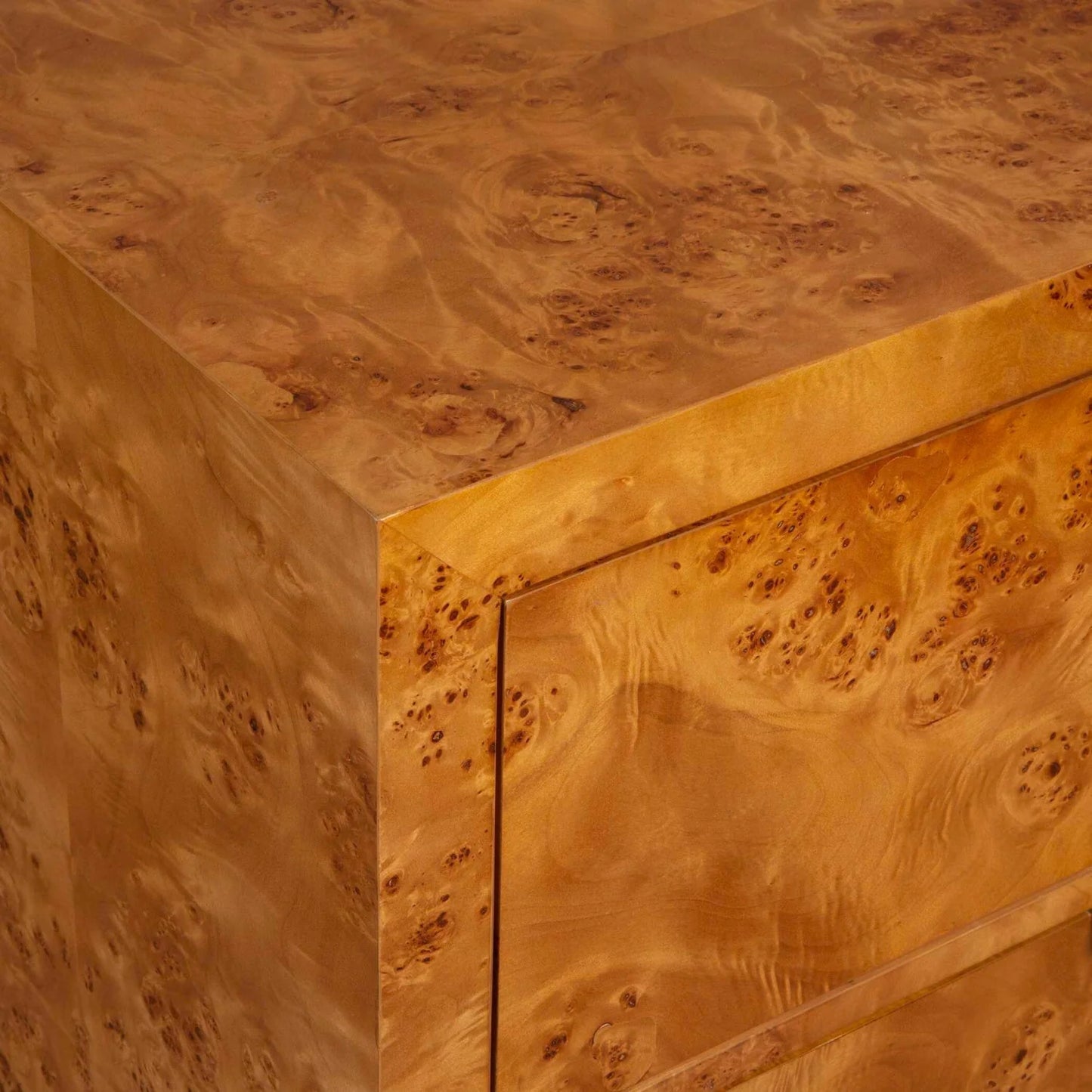 Luxury Modern Burl 2-Drawer Chest European Style for Villa