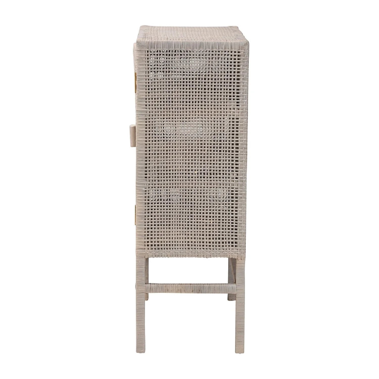 Luxury Modern Gray Rattan 2-Door Cabinet European Style for Villa