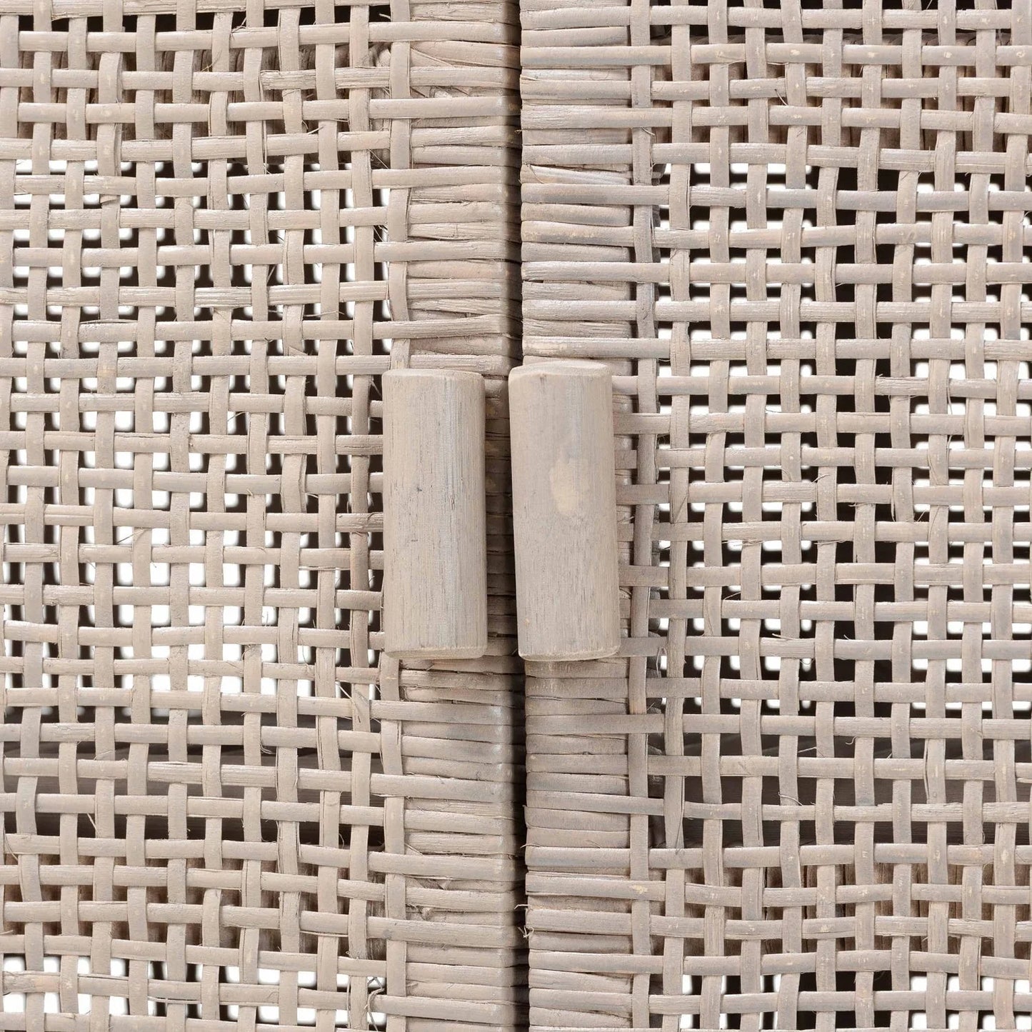 Luxury Modern Gray Rattan 2-Door Cabinet European Style for Villa