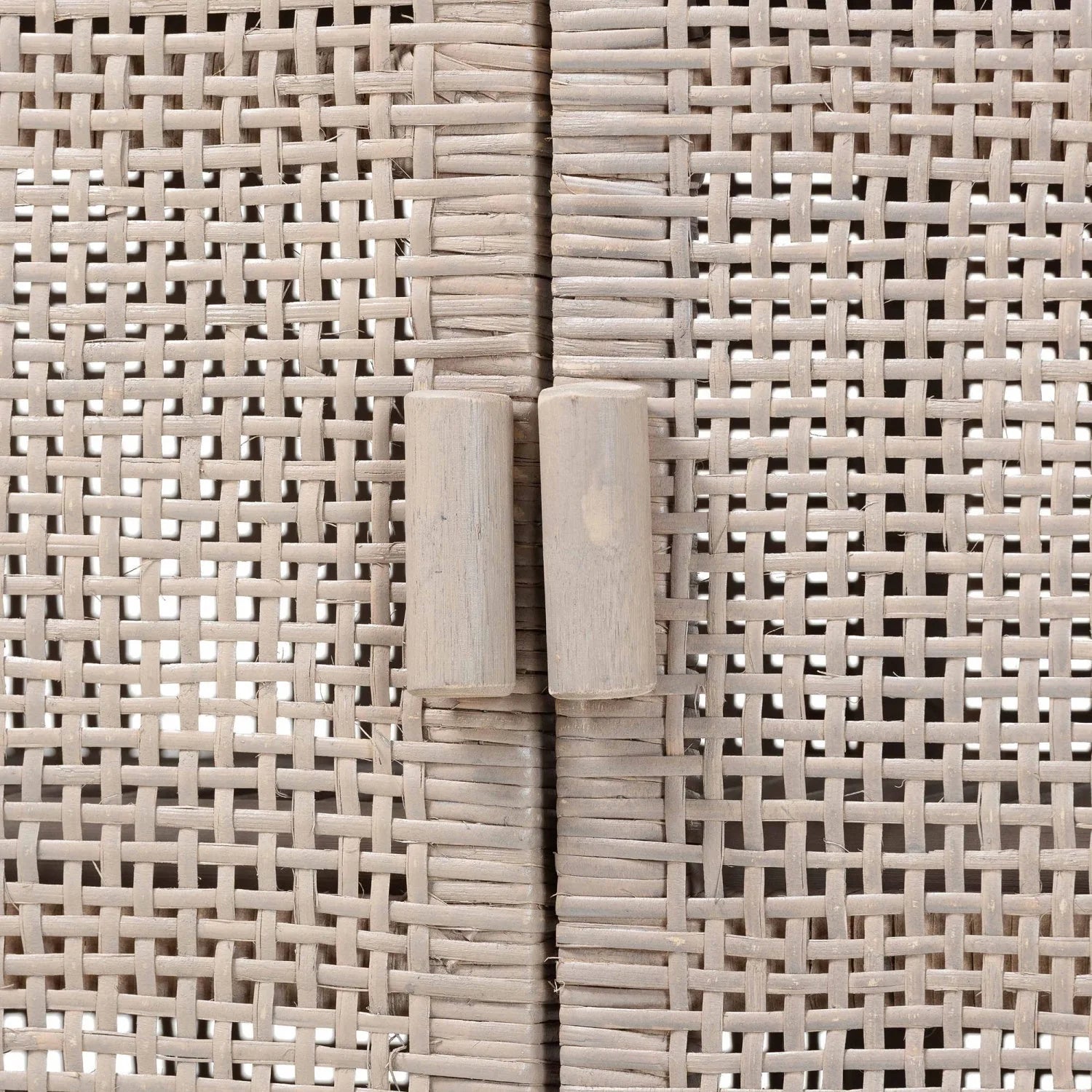 Luxury Modern Gray Rattan 2-Door Cabinet European Style for Villa