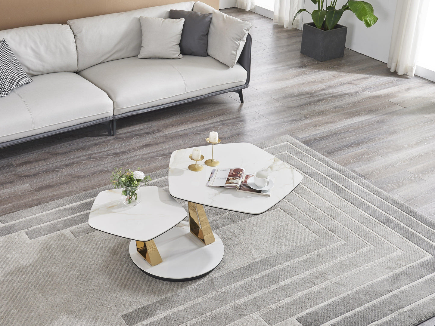 Luxury Modern Guama Coffee Table European Style for Villa