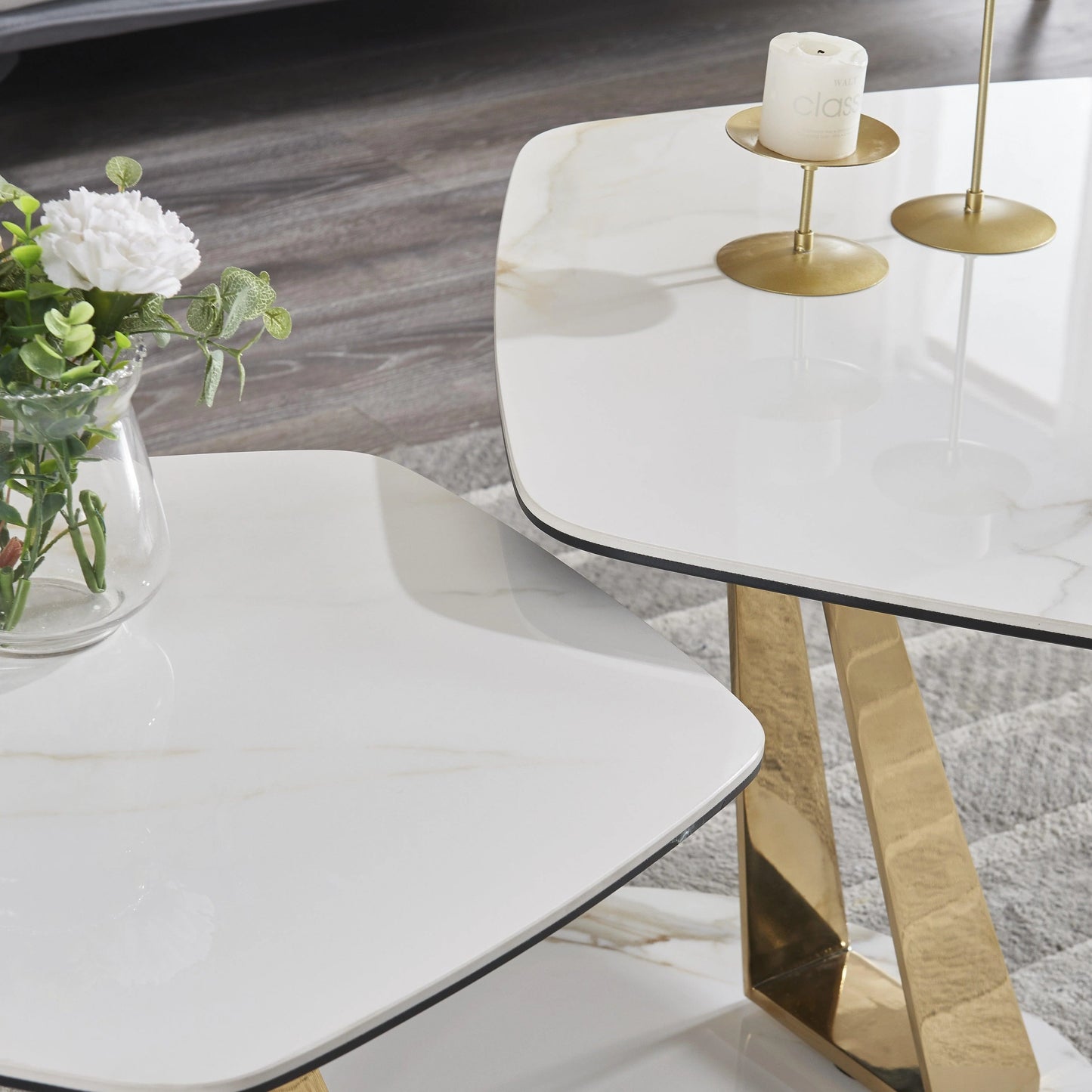 Luxury Modern Guama Coffee Table European Style for Villa