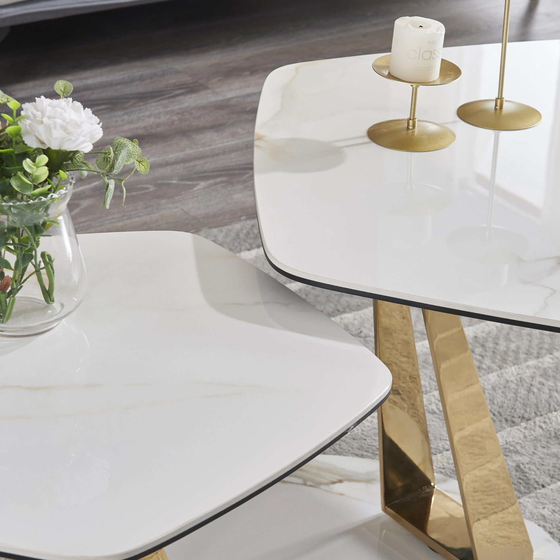 Luxury Modern Guama Coffee Table European Style for Villa