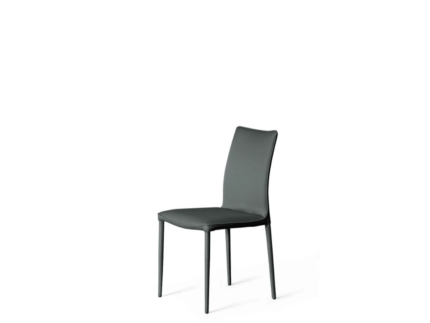 Luxury Modern Nata Flex Dining Chair European Style for Villa