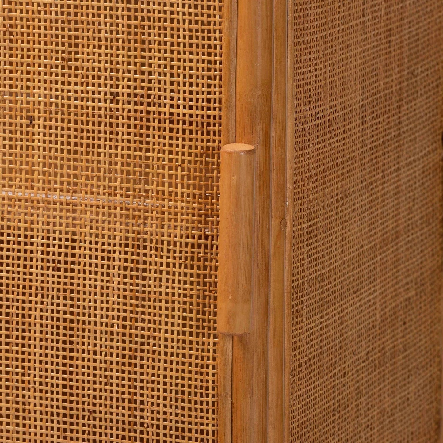 Luxury Modern Rattan Storage Cabinet European Style for Villa
