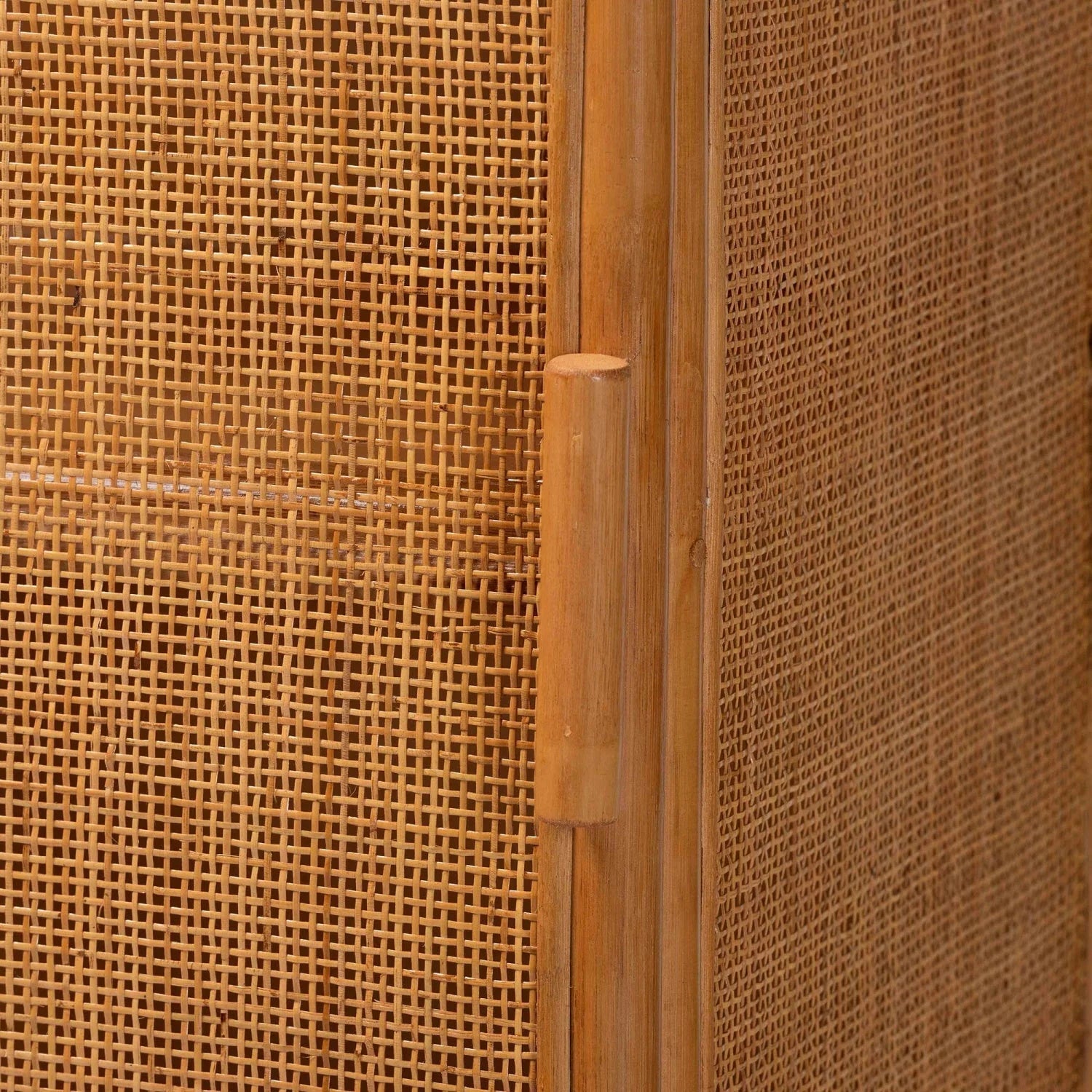 Luxury Modern Rattan Storage Cabinet European Style for Villa