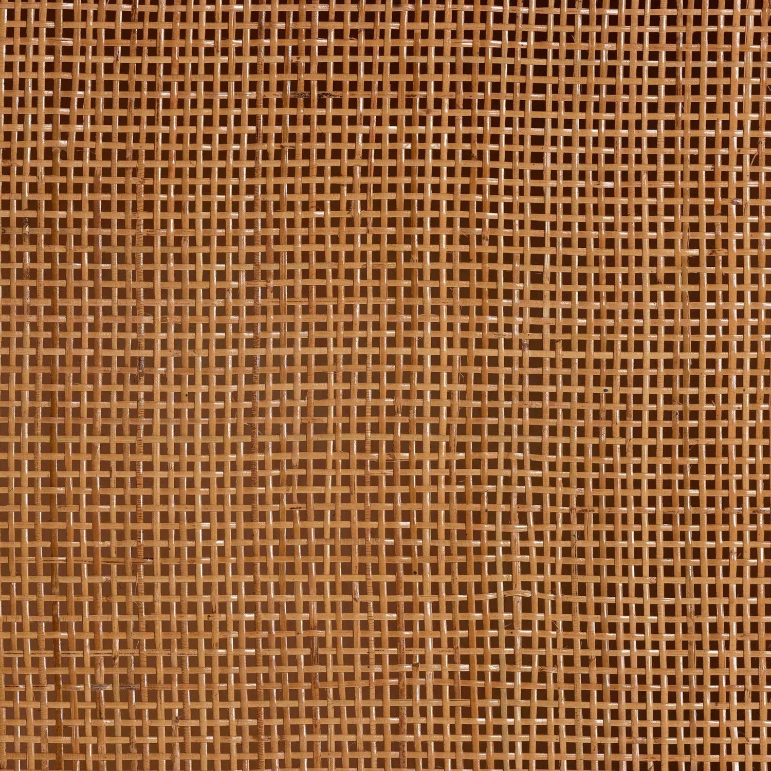 Luxury Modern Rattan Storage Cabinet European Style for Villa