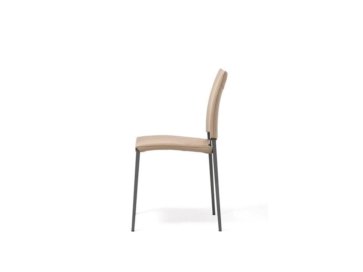 Luxury Modern Sally Dining Chair European Style for Villa