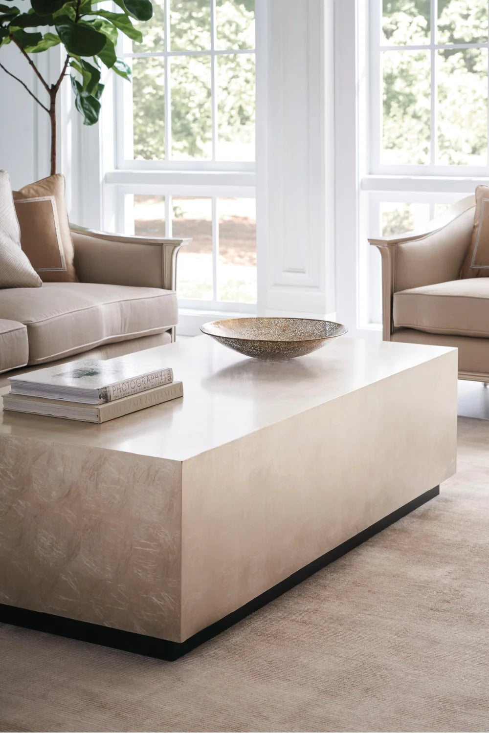Luxury Taupe Wood Coffee Table Modern Italian Style for Villa
