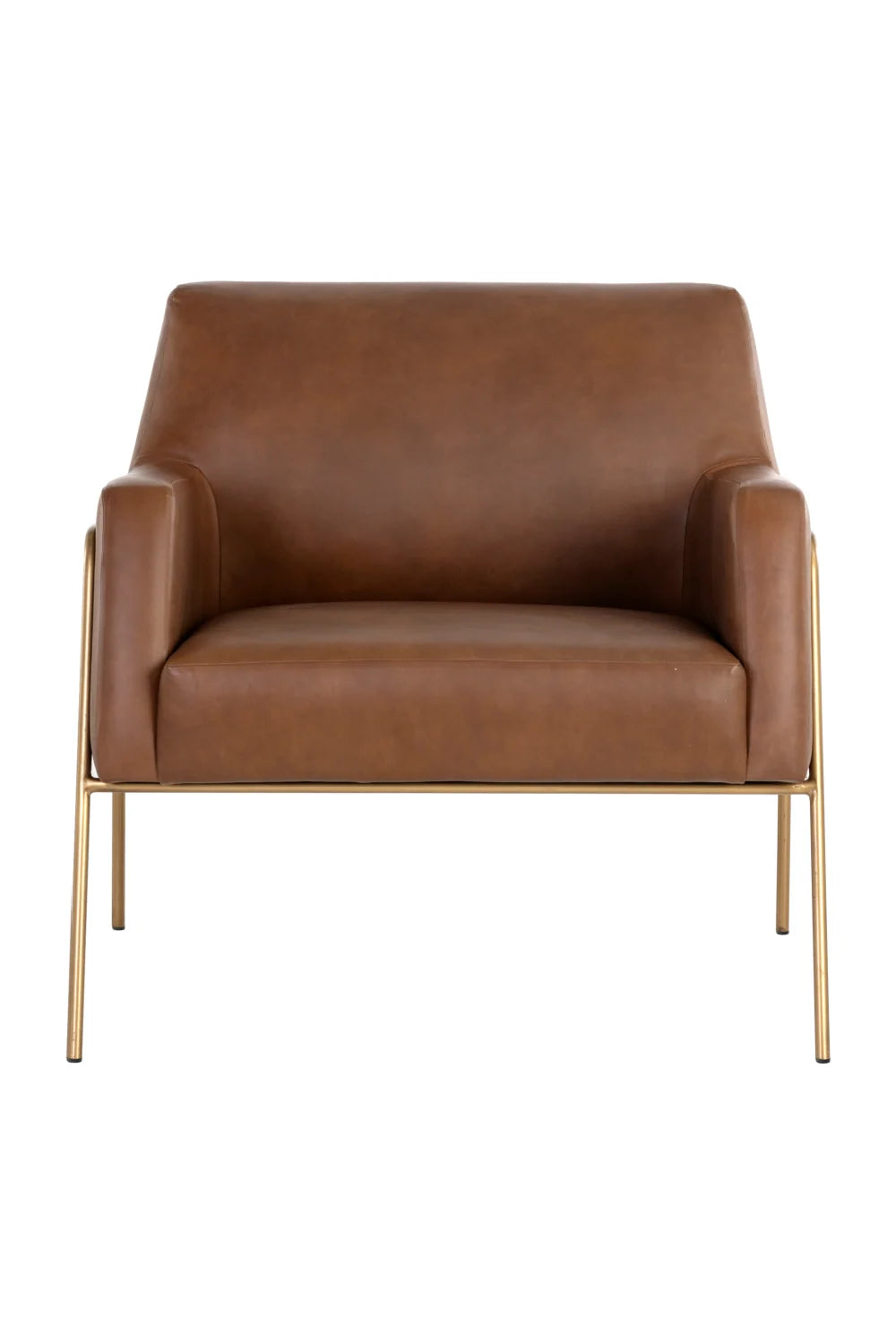 Luxury Vintage Brown Leather Lounge Chair Modern Italian Style for Villa