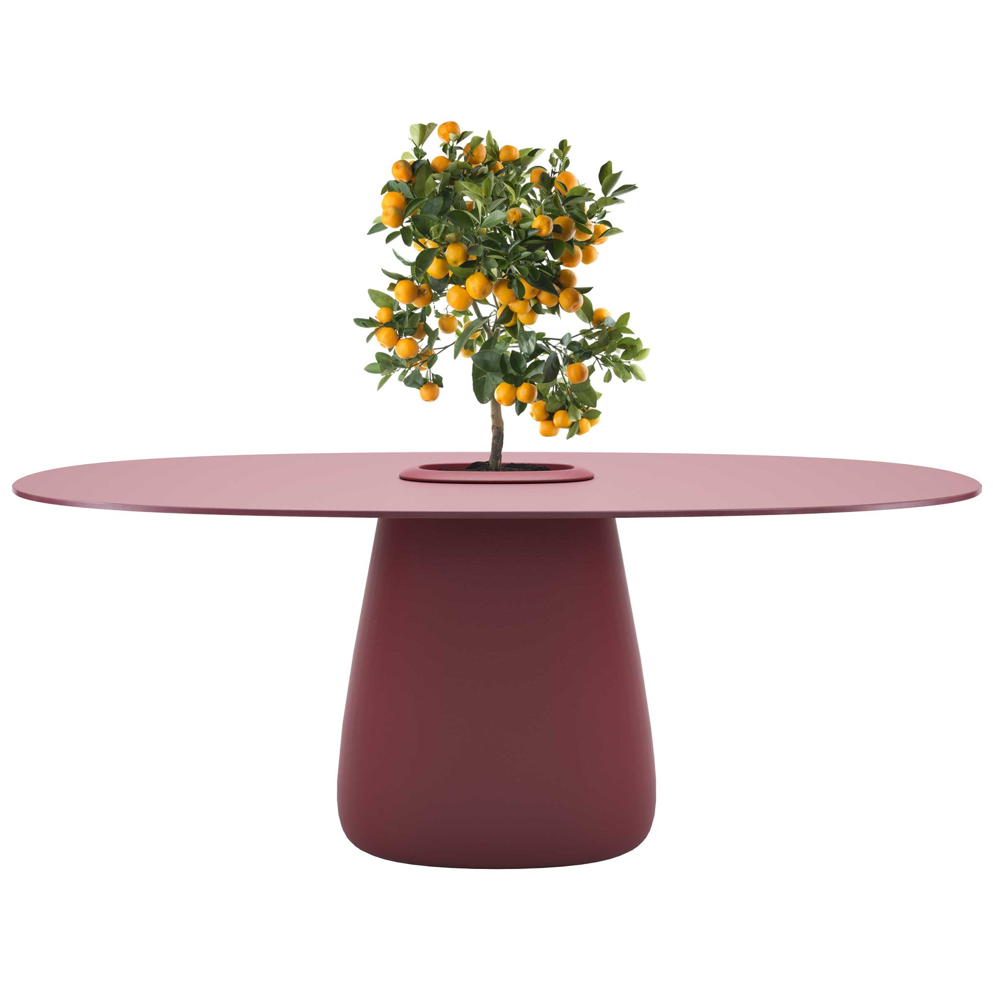 Oval Dining Table with Integrated Bucket Base – Contemporary HPL Statement Piece