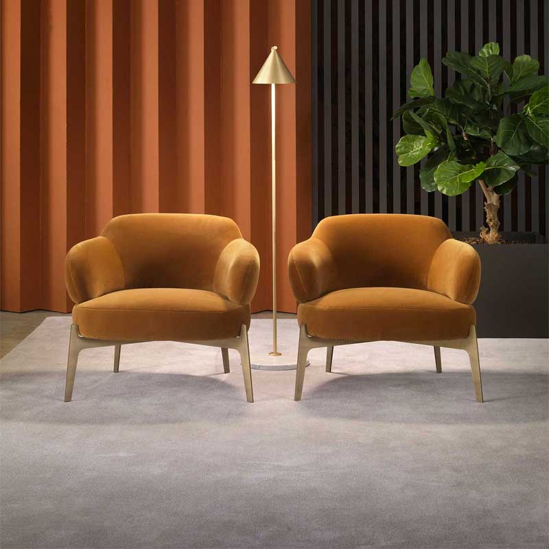 Luxury Sign Lounge Armchair Modern Italian Style for Villa