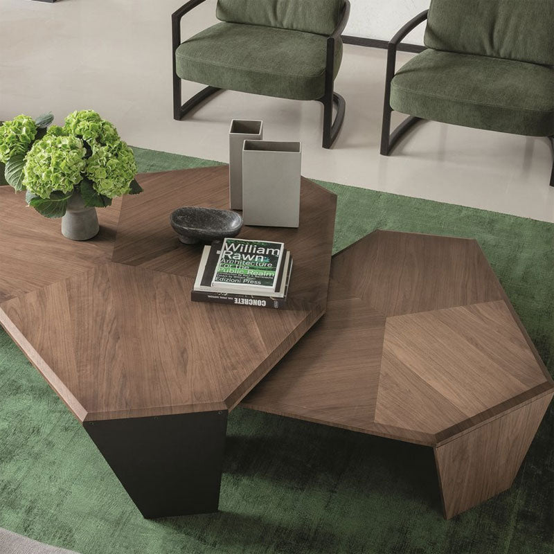 Luxury Tortuga Coffee Table Modern Italian Style for Villa